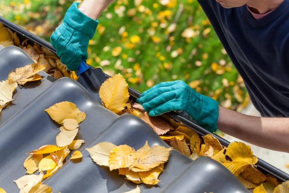 Man cleaning the gutter from autumn leaves.jpeg