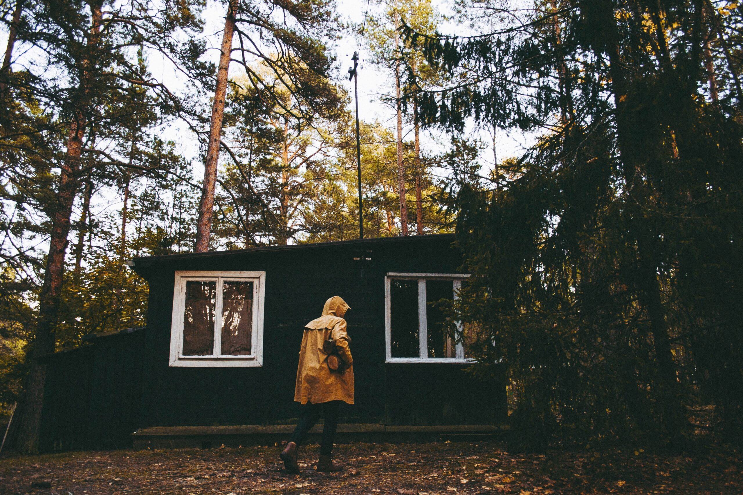 home in the woods.jpg